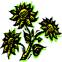 Nature's Creations - Welcome